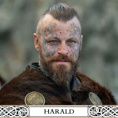 Harald - Viking Héritage